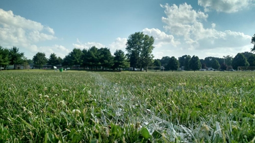 this is a field alt text